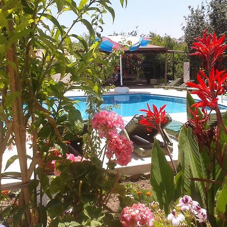 Paradise Garden Gumusluk Evleri Aparthotel Exterior photo